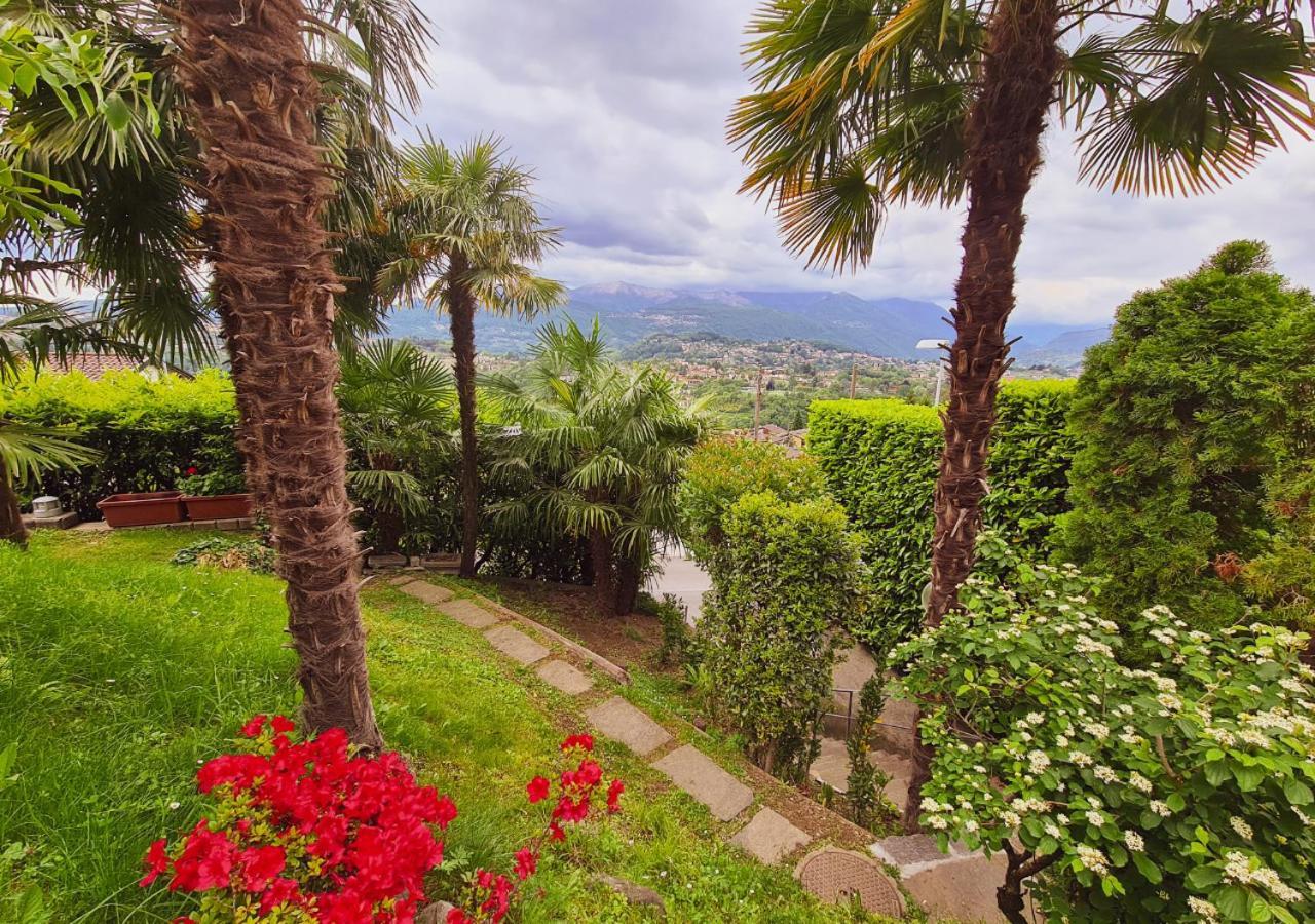 Apartment With A View And Free Parking