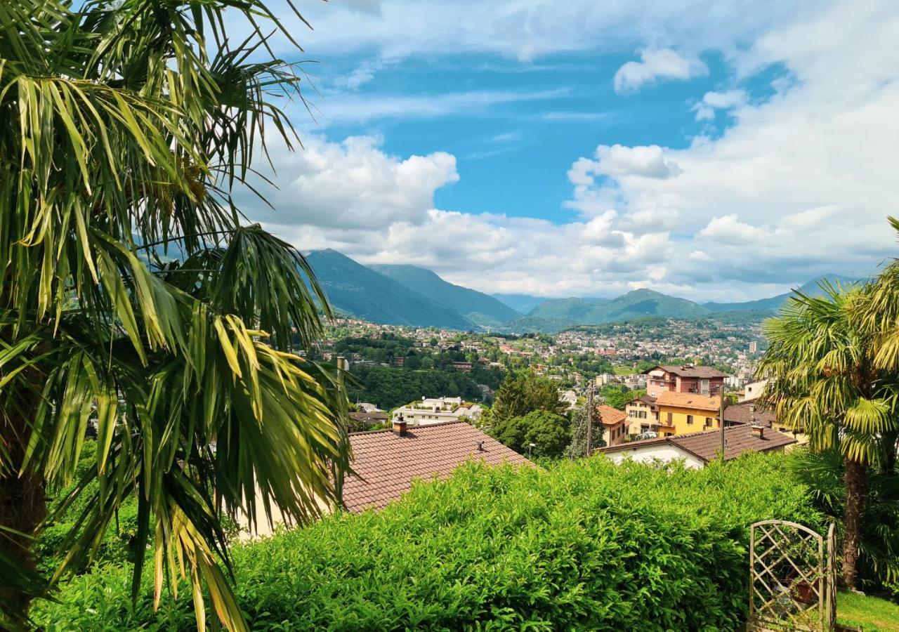Appartement With A View And Free Parking *