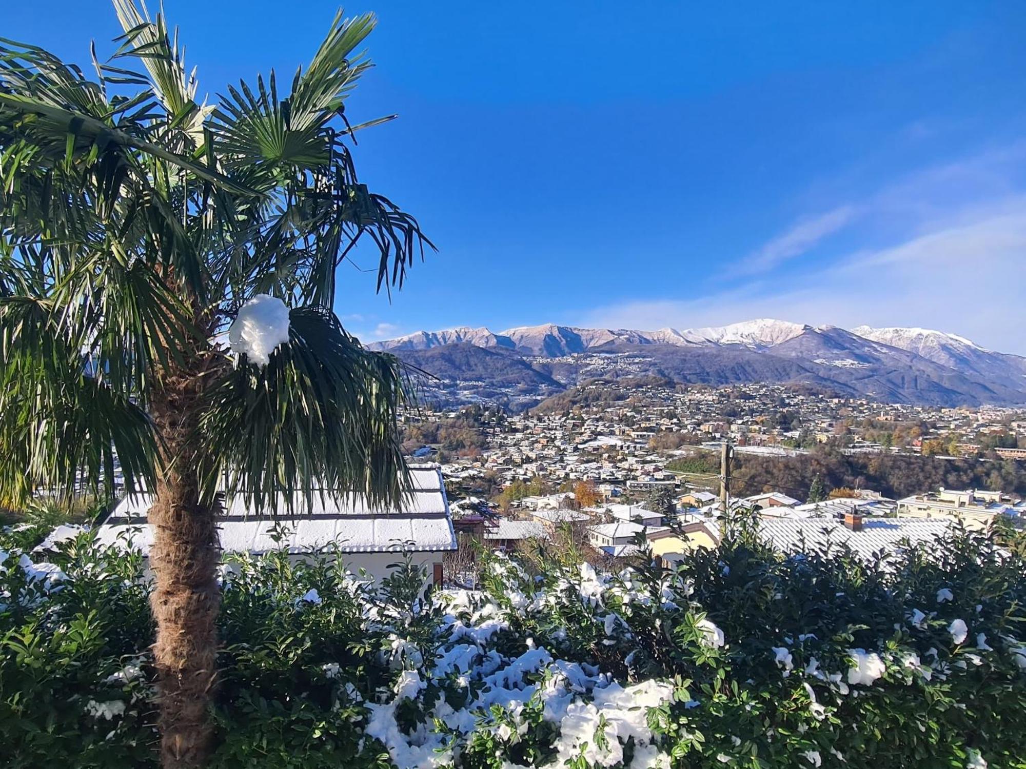 With A View And Free Parking Apartment *